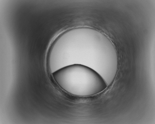 X0000115850248200911131132
