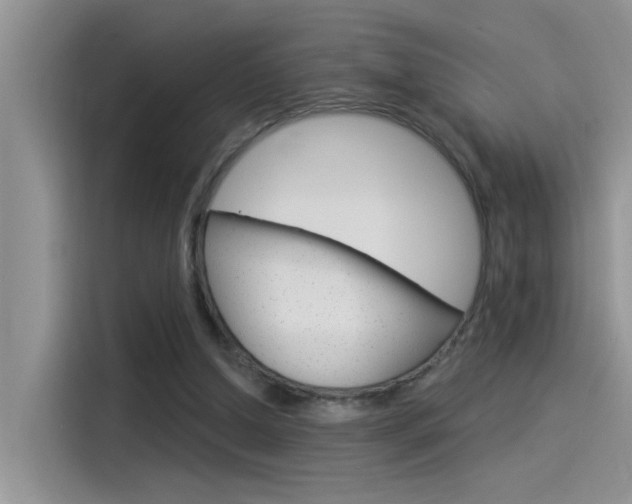 X0000115850250200911131132