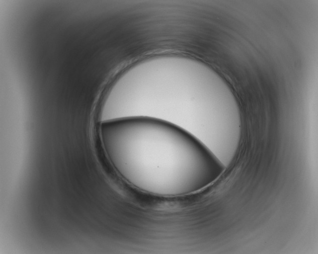 X0000115850252200911131132