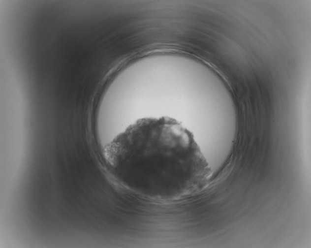 X0000115850253200911131132