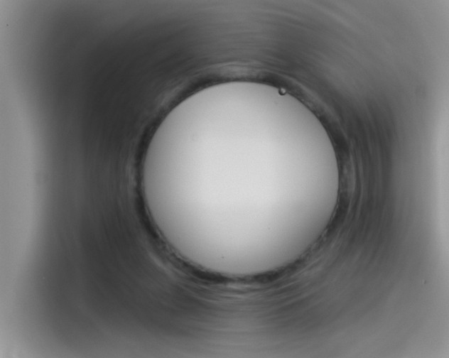 X0000115850255200911131132
