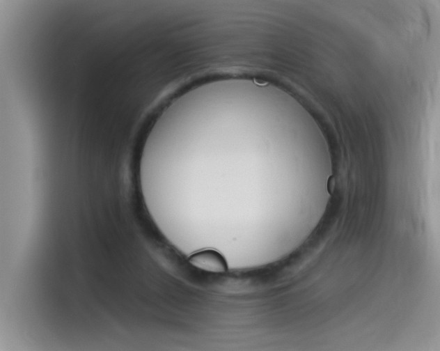 X0000115850256200911131132