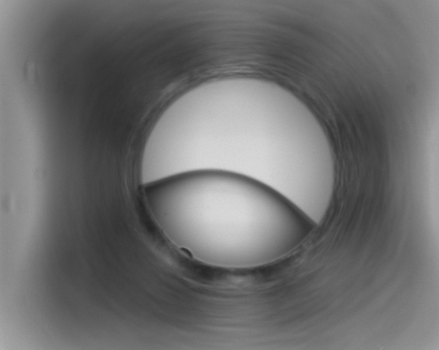 X0000115850260200911131132