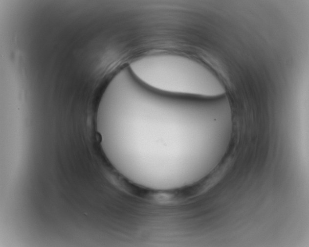 X0000115850265200911131132