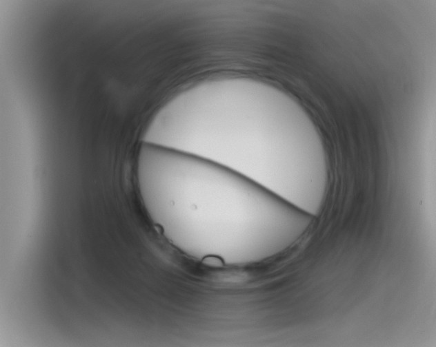X0000115850266200911131132