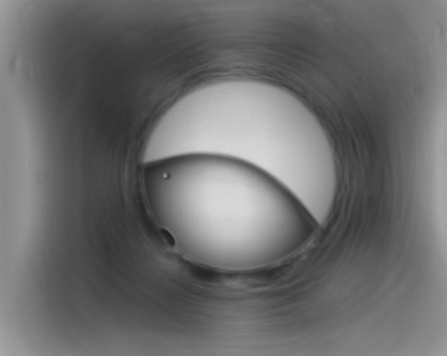 X0000115850268200911131132
