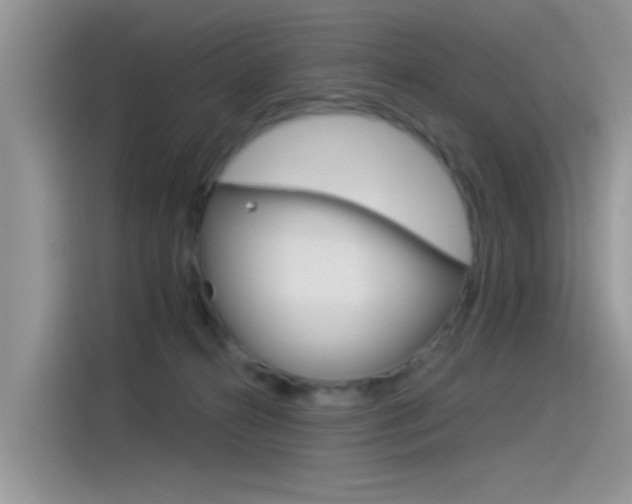 X0000115850272200911131132