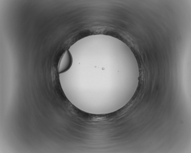 X0000115850283200911131132