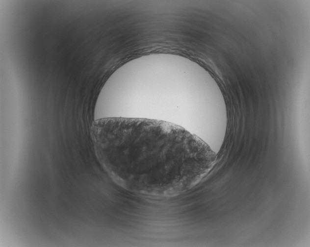 X0000115850285200911131132