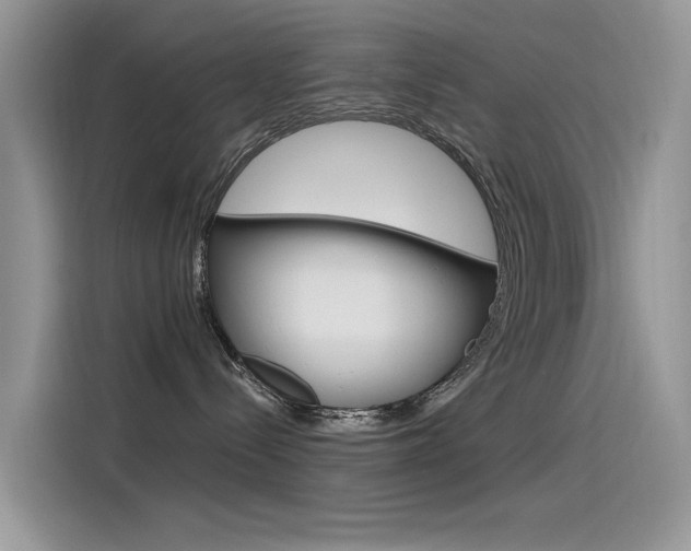 X0000115850288200911131133