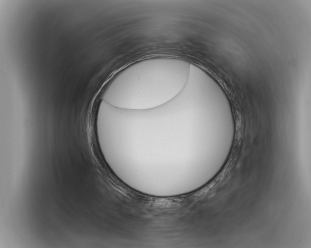 X0000115850290200911131132