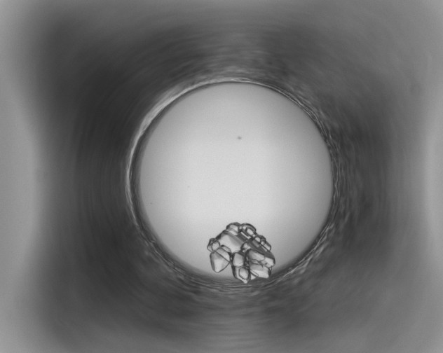 X0000115850292200911131132