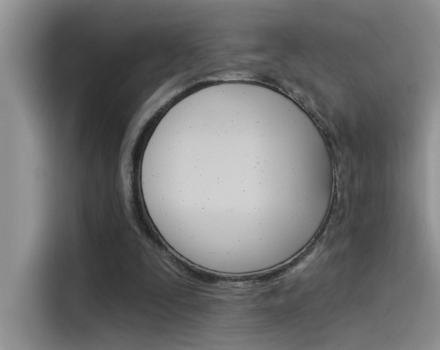 X0000115850295200911131132