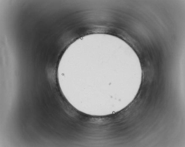 X0000115850297200911131132