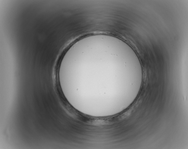 X0000115850298200911131132
