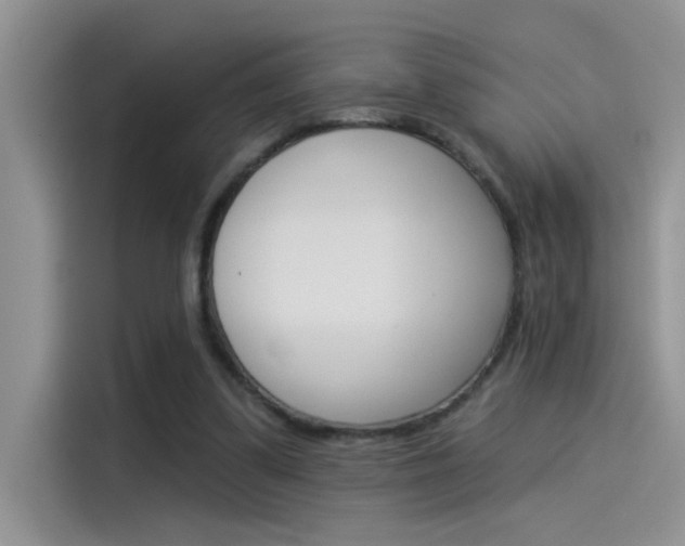 X0000115850299200911131132