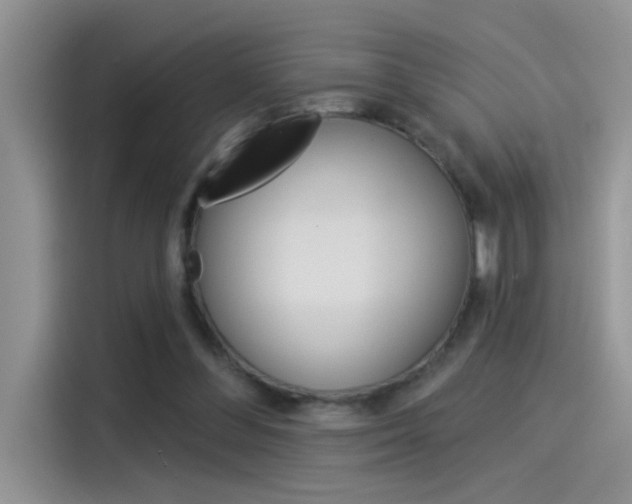 X0000115850300200911131132