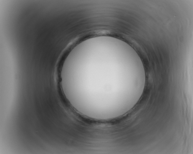 X0000115850304200911131132
