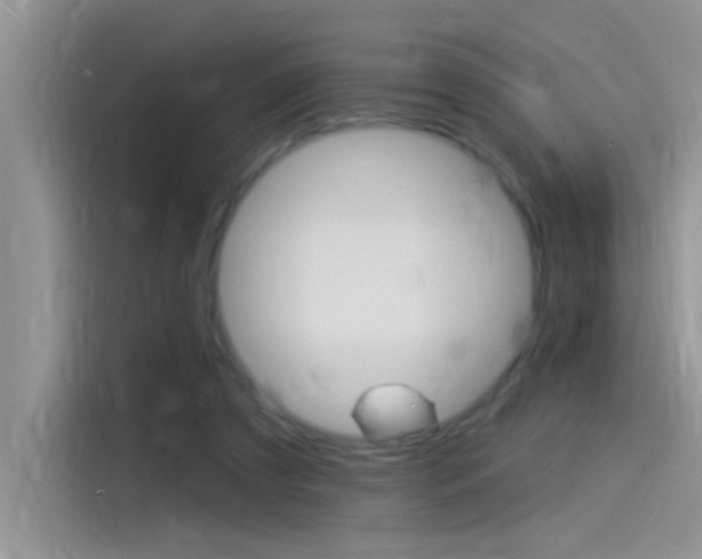 X0000115850305200911131132