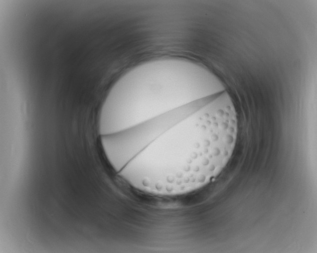 X0000115850311200911131132