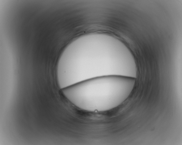 X0000115850315200911131132