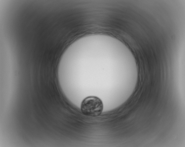 X0000115850320200911131132