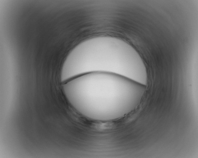X0000115850323200911131131