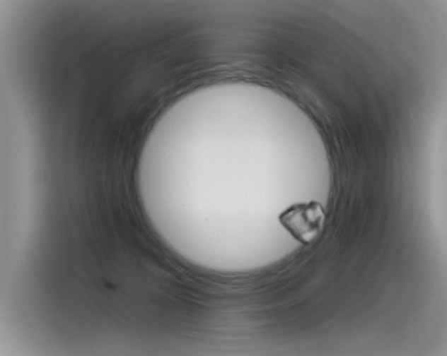 X0000115850324200911131131
