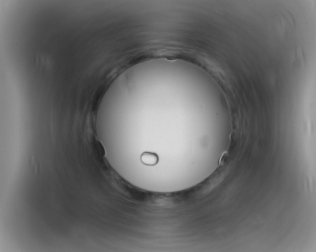 X0000115850325200911131131