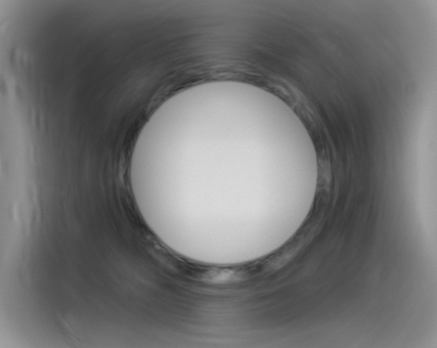 X0000115850326200911131131