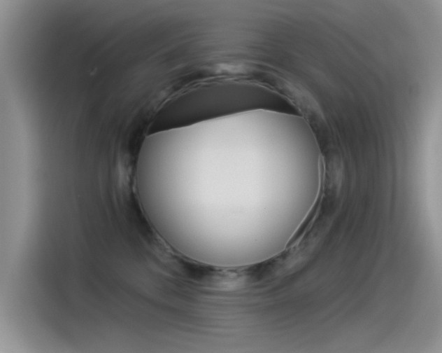 X0000115850328200911131131