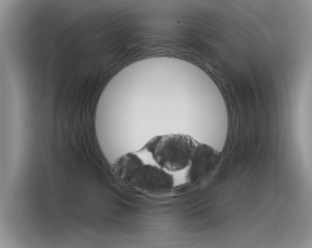 X0000115850331200911131131