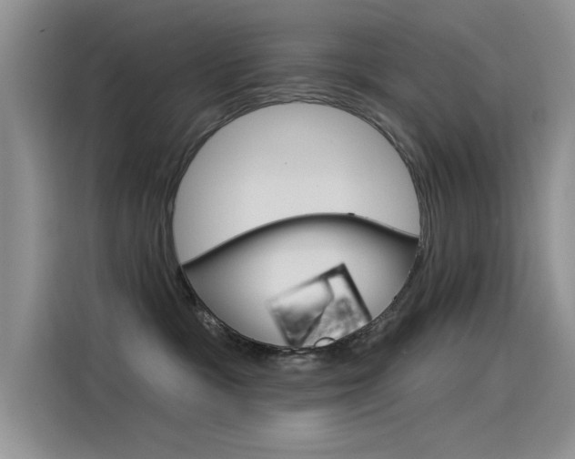 X0000115850333200911131131