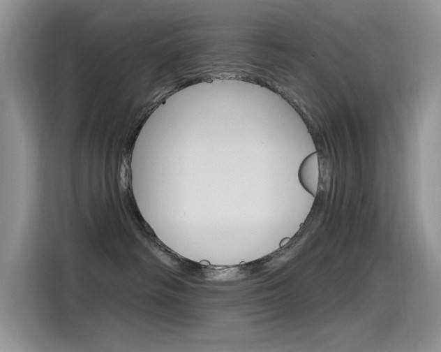X0000115850334200911131131