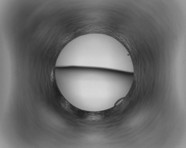 X0000115850335200911131131