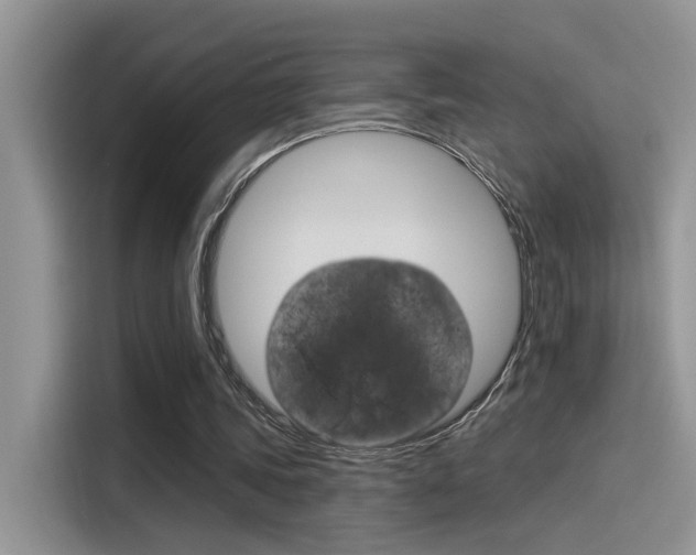X0000115850339200911131131
