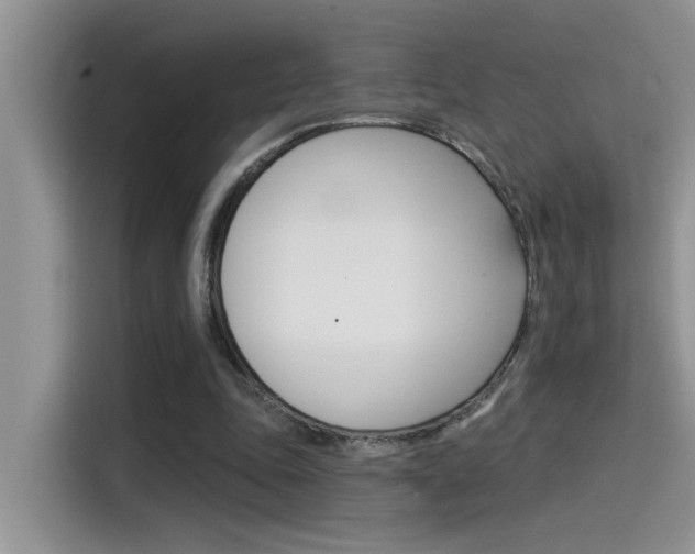 X0000115850343200911131131