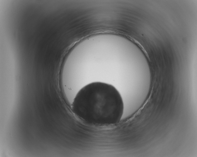 X0000115850345200911131131