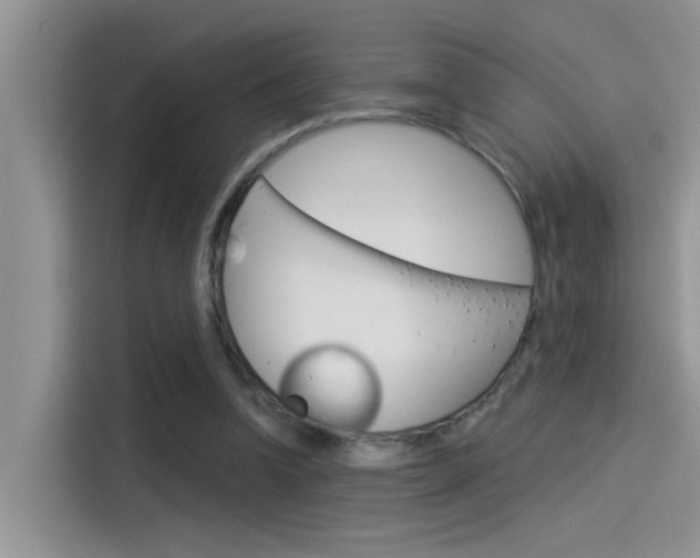 X0000115850346200911131131