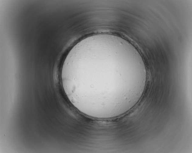 X0000115850347200911131131