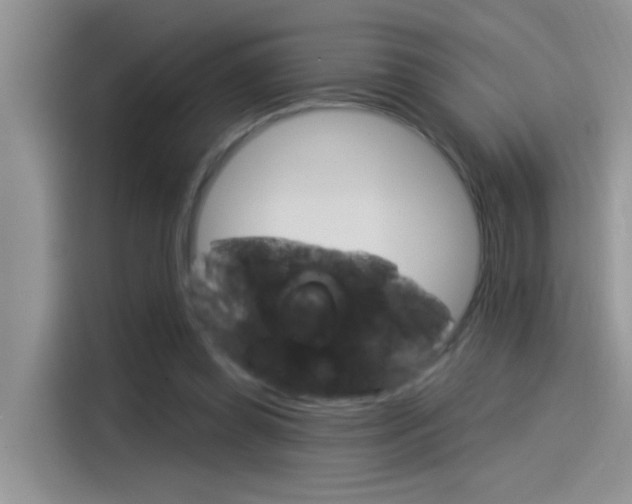 X0000115850349200911131131