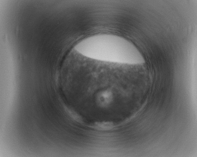 X0000115850359200911131131