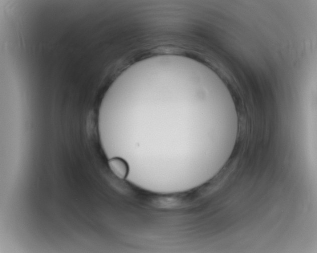 X0000115850361200911131131
