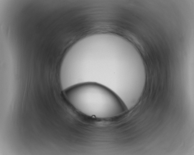 X0000115850362200911131131
