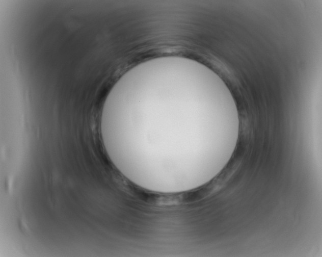X0000115850373200911131131