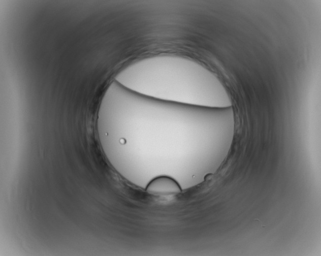 X0000115850374200911131131