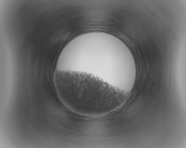 X0000115850379200911131131