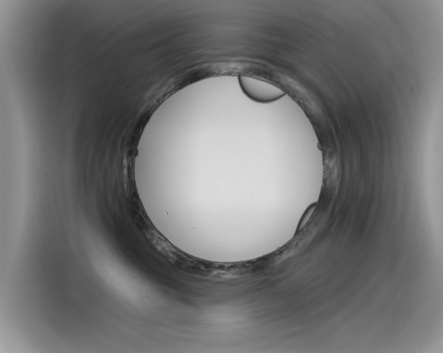 X0000115850381200911131131