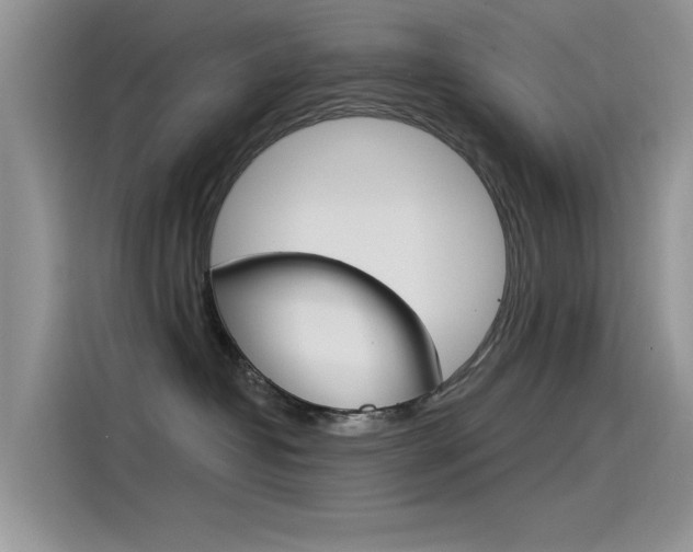 X0000115850382200911131131