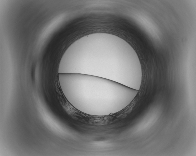 X0000115850383200911131131